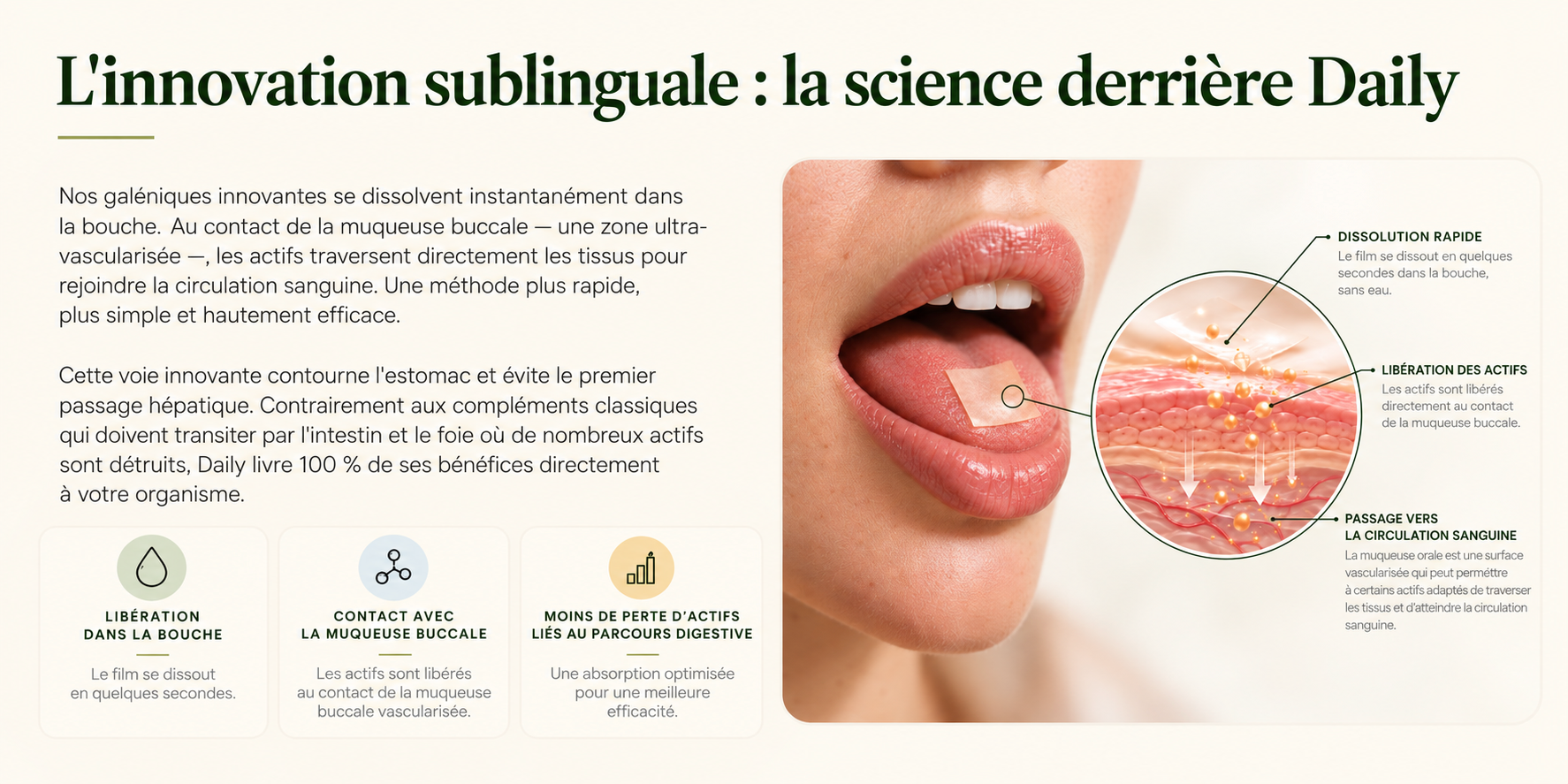 Illustration fournie : film sur la langue, avec schéma de la muqueuse buccale et annotations sur la dissolution, la libération des actifs et le passage vers la circulation sanguine.
